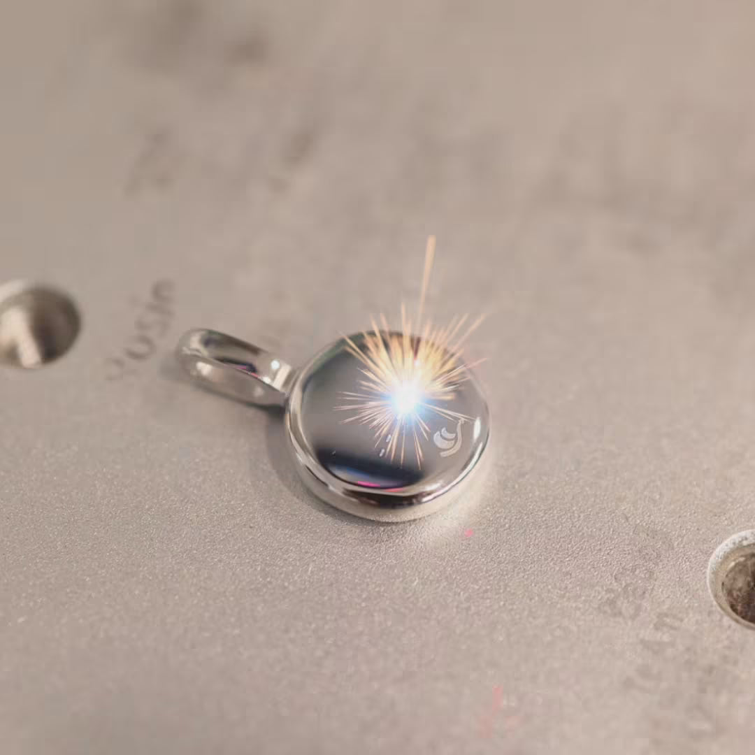 Pallene Bracelet in Stainless Steel