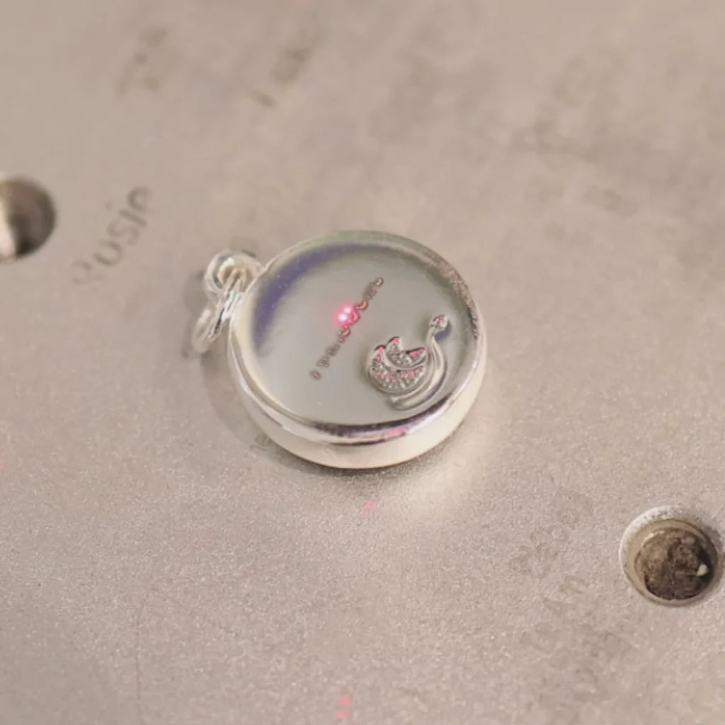 Pallene Bracelet in Stainless Steel